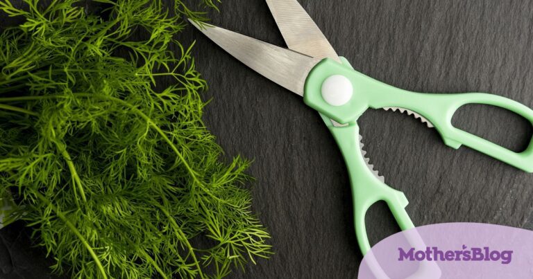Tips for moms: Uses of kitchen scissors that you haven’t thought of